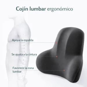 Cojín Lumbar Ergonómico