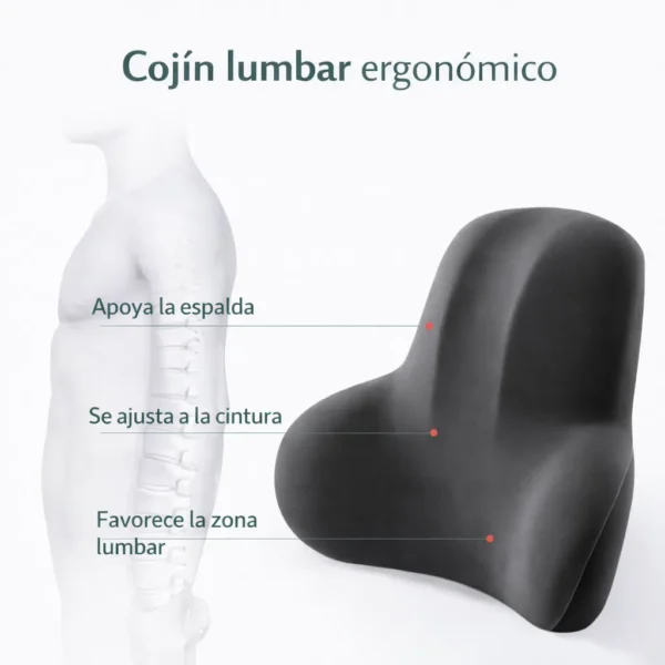 Cojín Lumbar Ergonómico